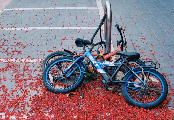 bicycle crash lawyer