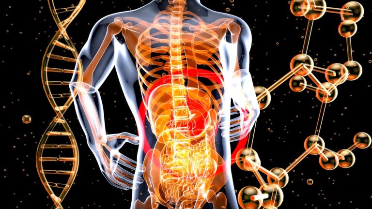 spine injury