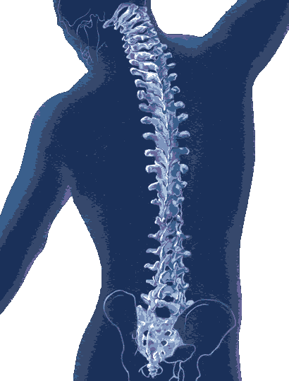 spinal cord injuries